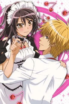 Maid-Sama! It's an extra! cover art