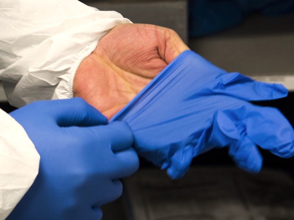 best disposable gloves