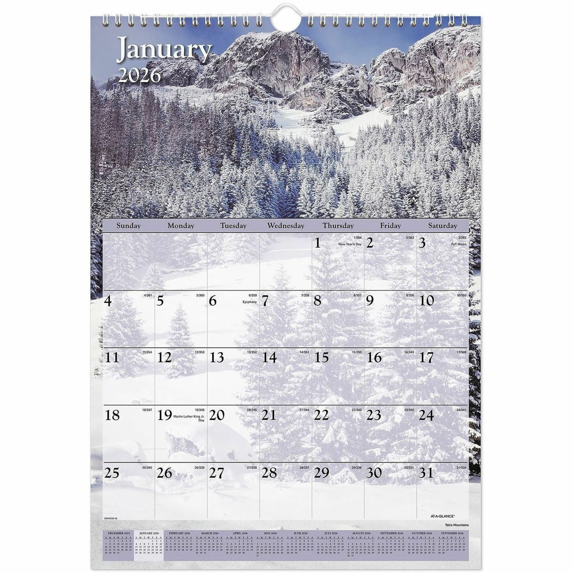 Scenic Wall Calendar by At-A-Glance AAGDMW20028 | OnTimeSupplies.com