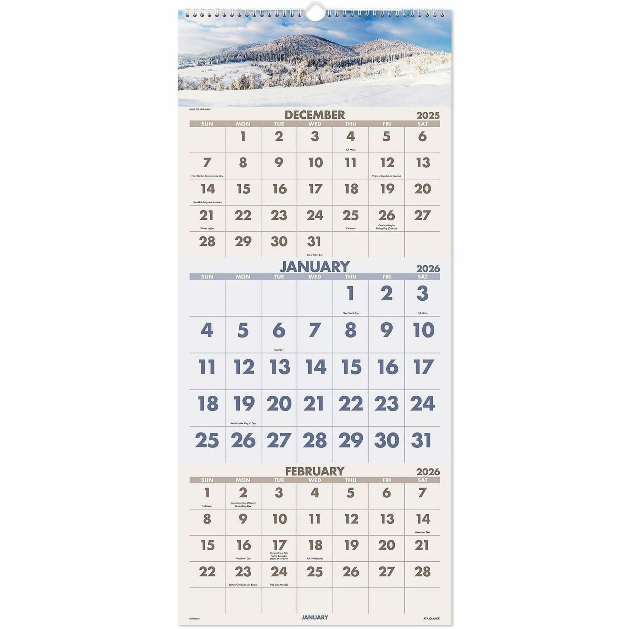 Atlast&co 2022カレンダー Scenic 3-Month Wall Calendar by At-A-Glance AAGDMW50328