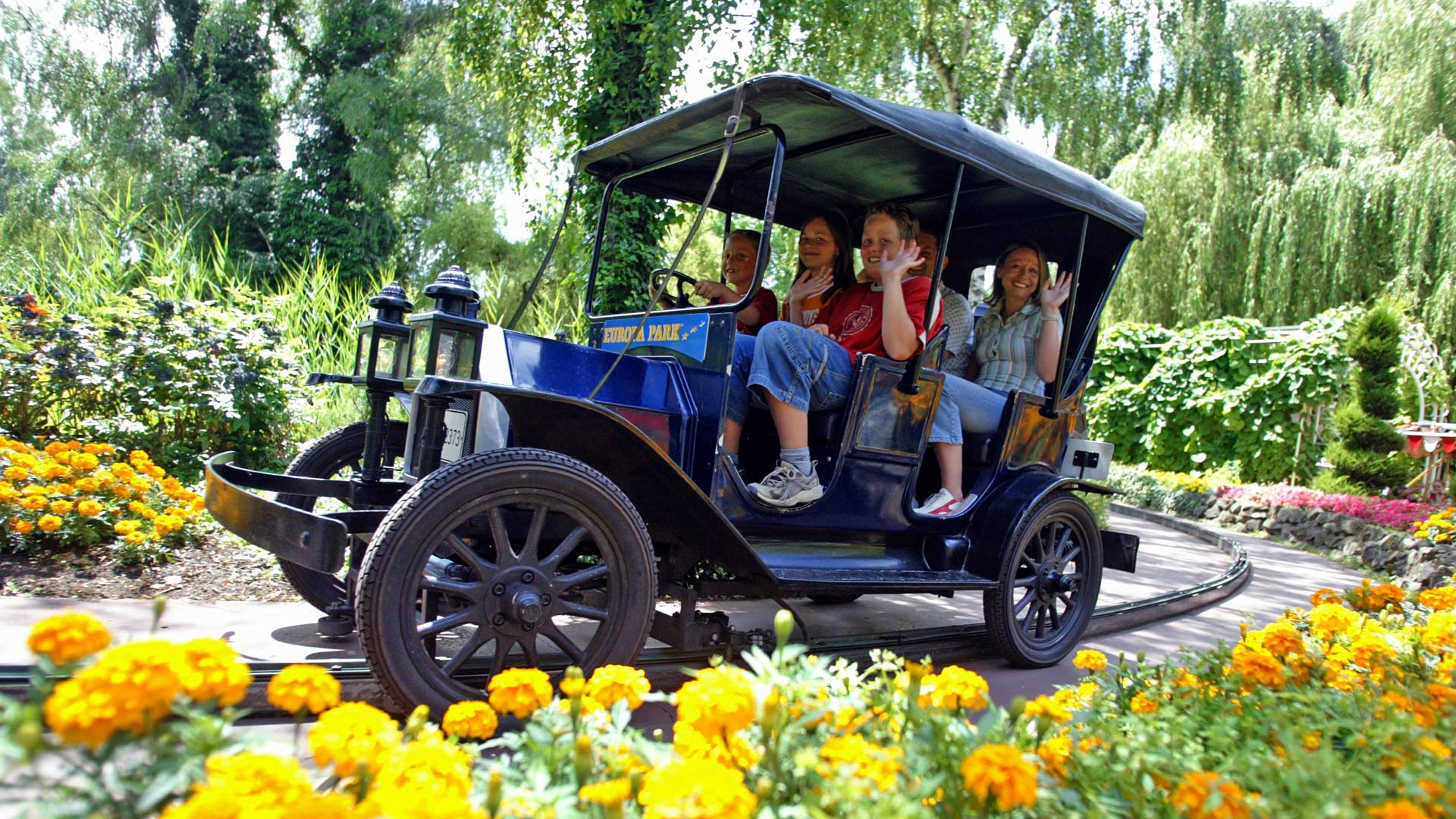 Vintage Cars