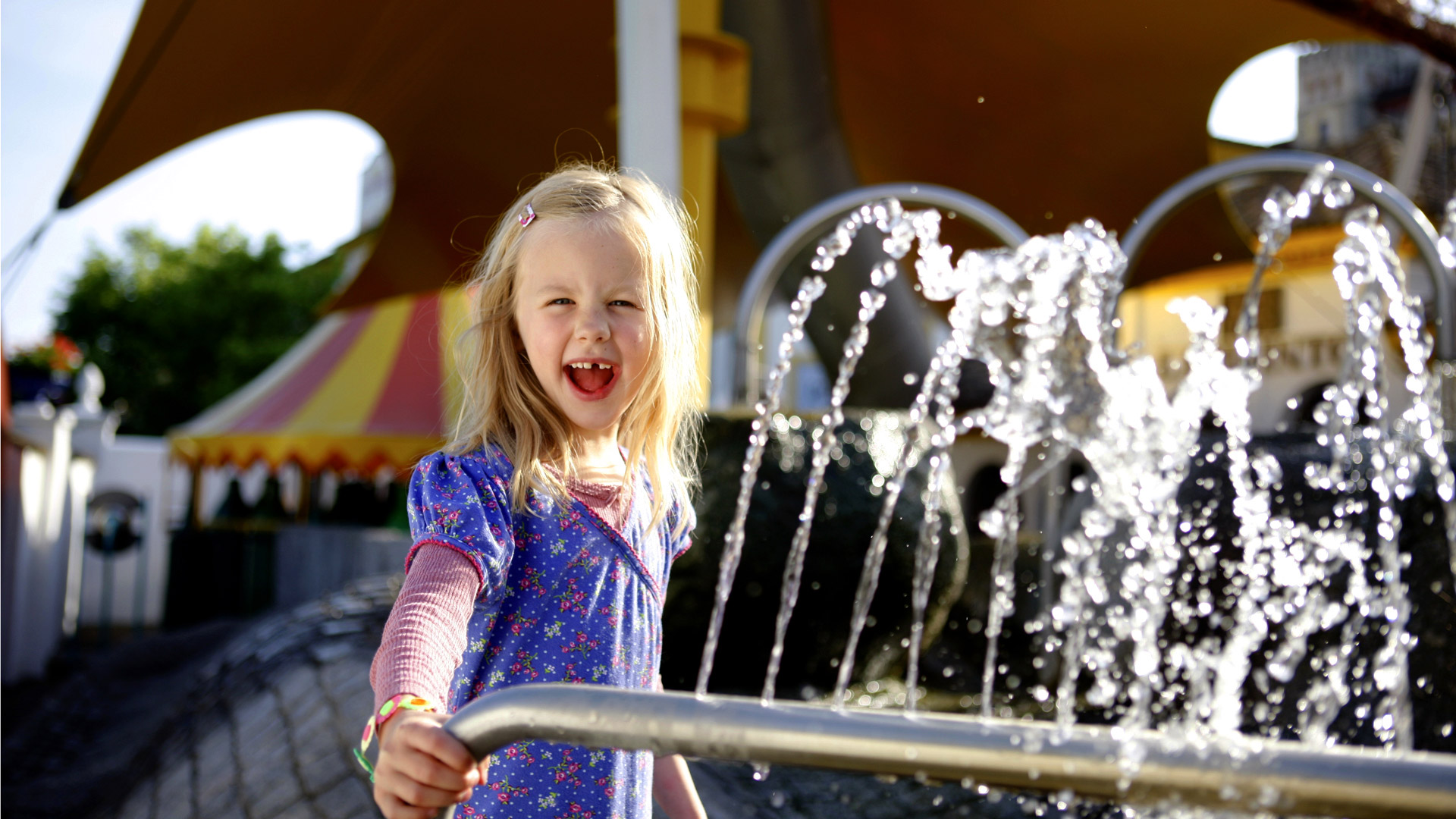 Adventure Playground