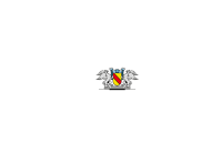 main sponsor logo