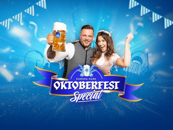 naar ticket
