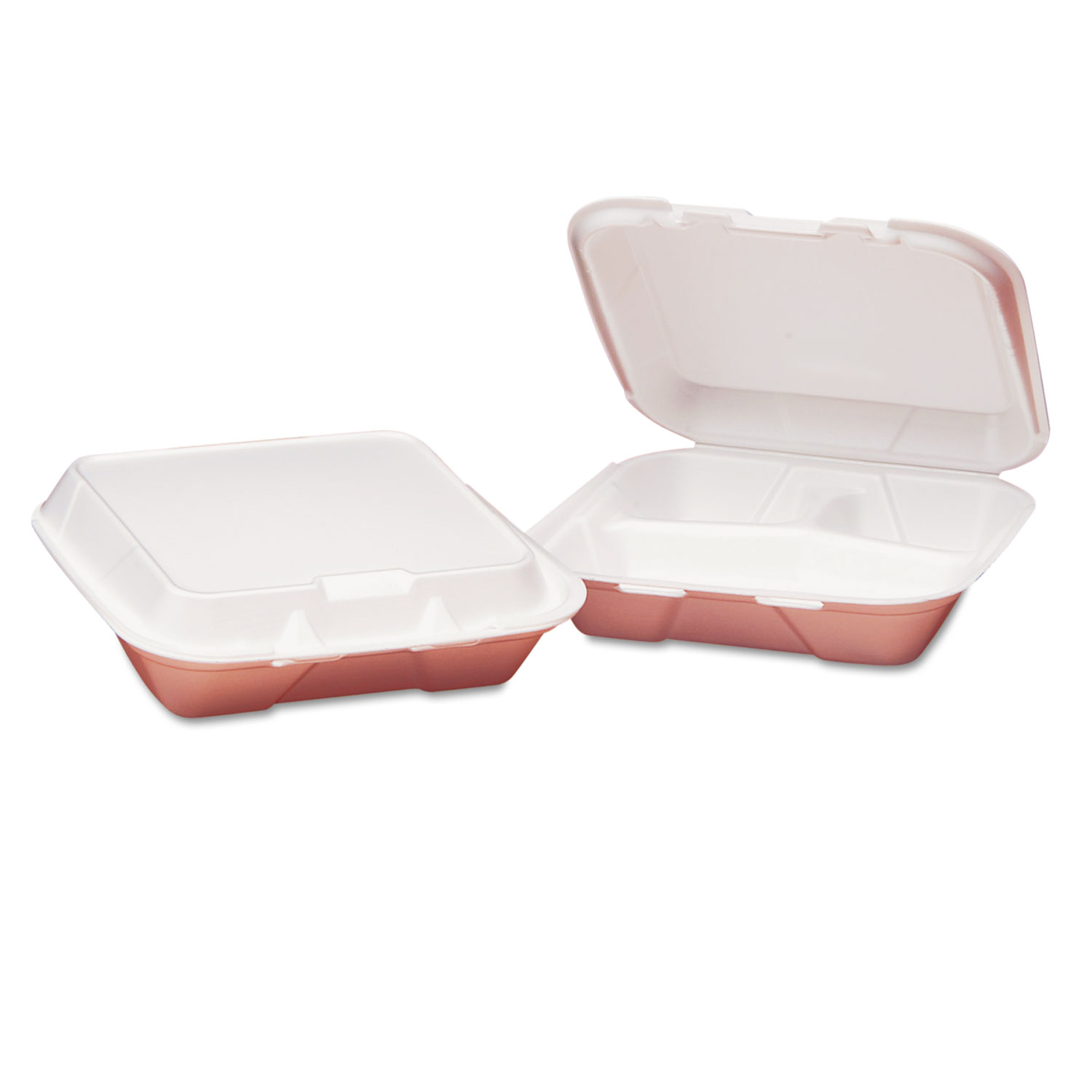 GENPAK SNAP IT TO GO CONTAINER FOAM SANDWICH - US Foods CHEF'STORE