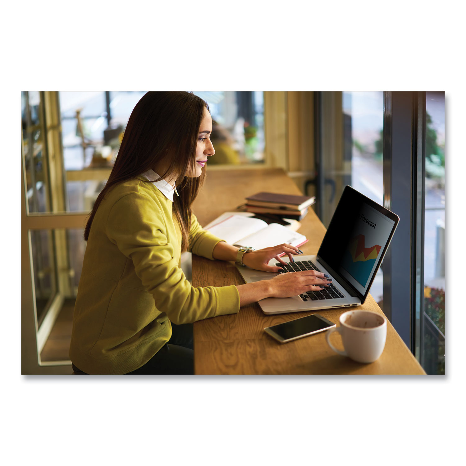 Bright Screen Privacy Filter for 15:6 Bright Screen Privacy Filter for 15:6
