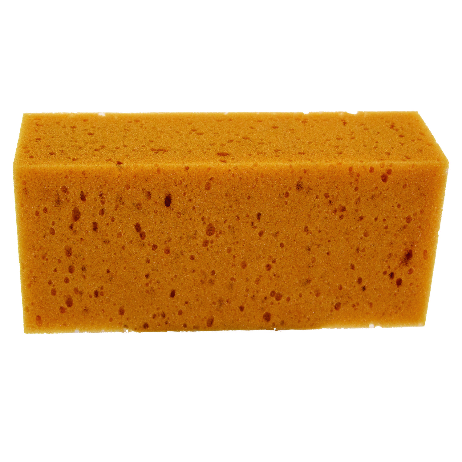 Fixi-Clamp Sponge, 8.5 Fixi-Clamp Sponge, 8.5