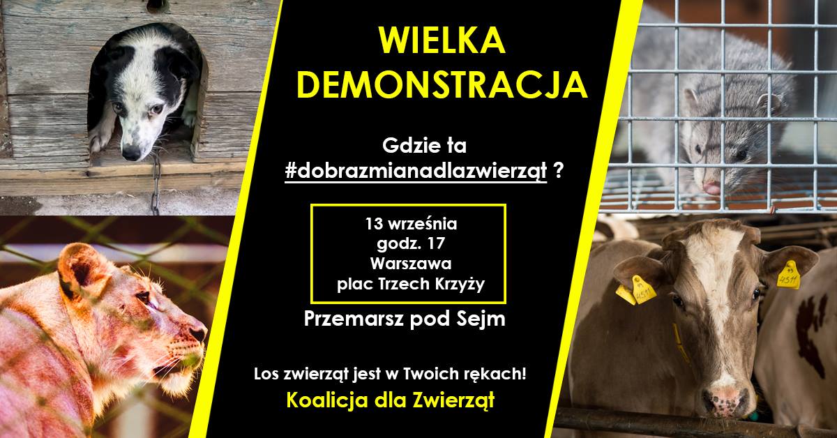 Wielka Demonstracja - Gdzie ta dobra zmiana dla zwierząt