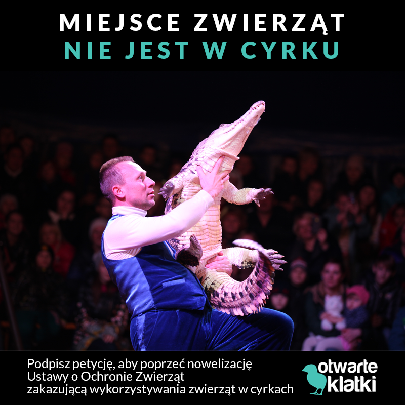 Cyrk bez zwierząt - zakaz na świecie i w Europie