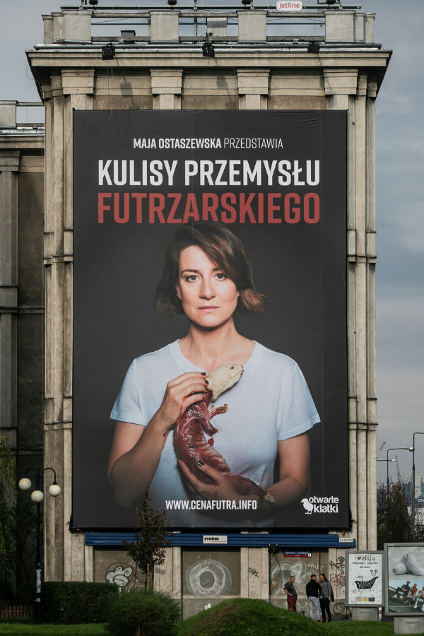 Billboard - kulisy przemysłu futrzarskiego