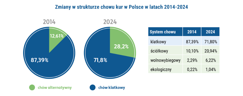 Wykres przedstawiający spadek udziału hodowli klatkowej w strukturze hodowli w Polsce