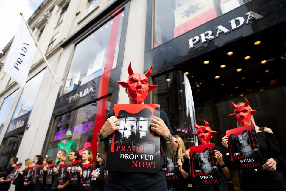 Historic Victory : Prada is going Fur Free | Open Cages