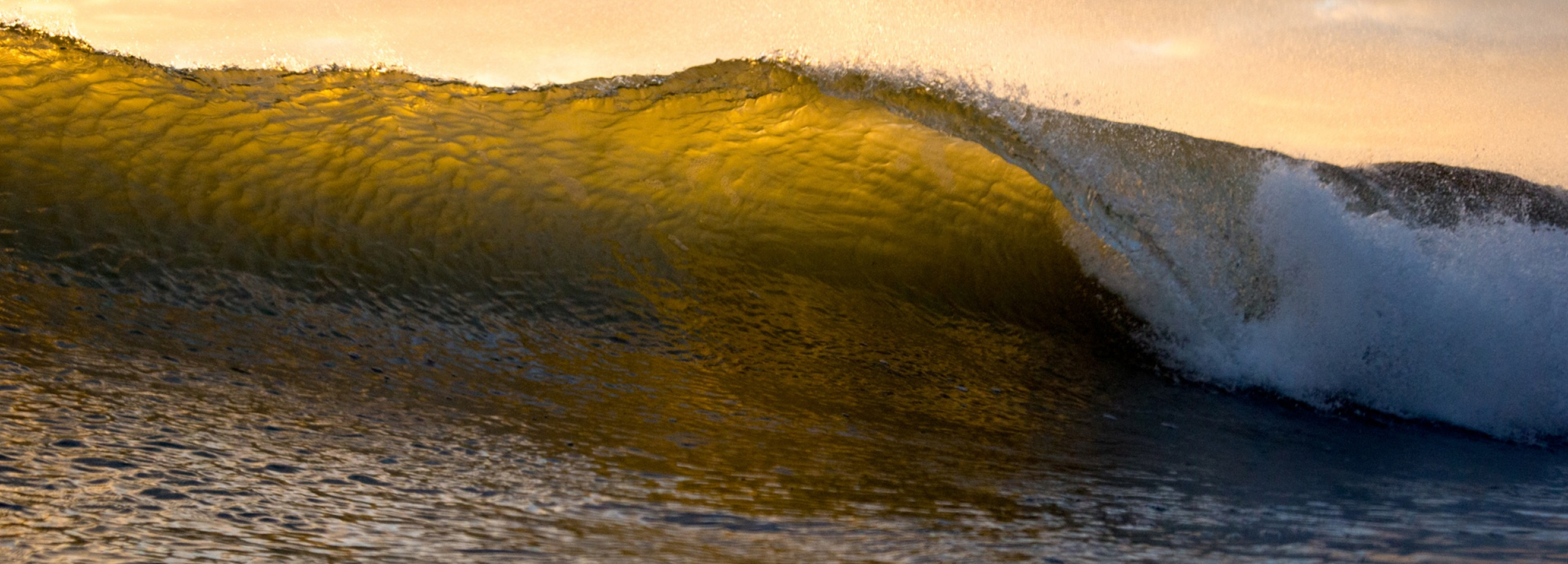 The Lost Quiver Killer: Surfboard Review