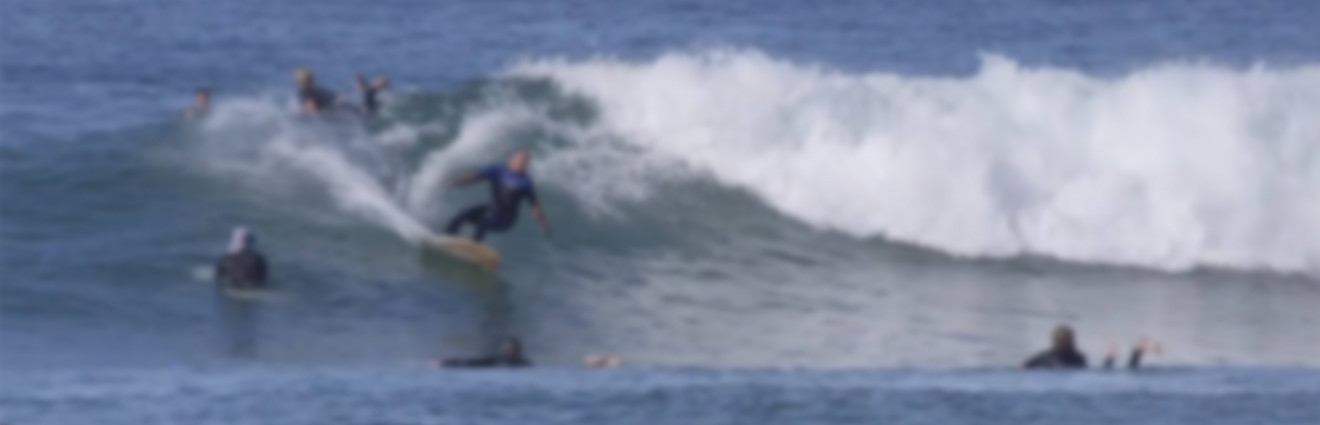 Firewire Greedy Beaver Surfboard Review