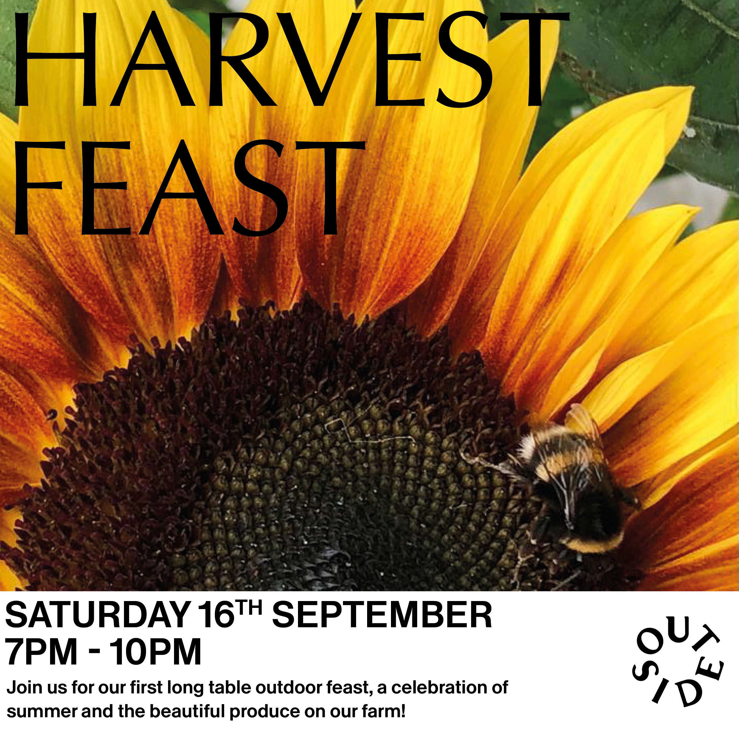 Harvest Feast Poster Option 3