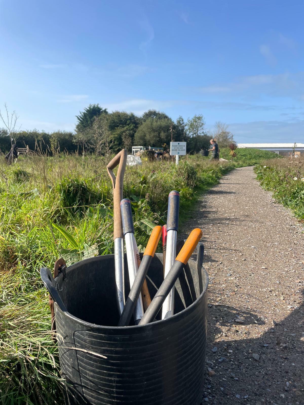 Whats App Image 2025 10 28 at 21 37 15