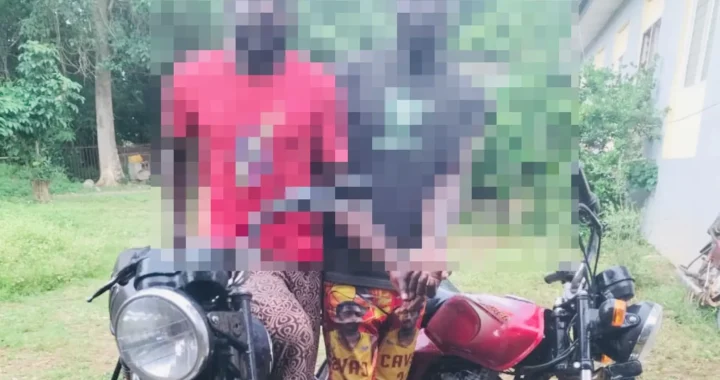 Ex-convict arrested for stealing motorcycles in Ogun