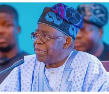 Tinubu seeks more time on payment, verification of N4trn debt owed GenCos