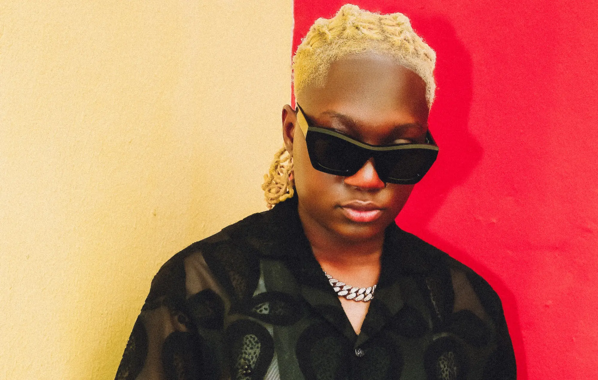 ‘I’m ready to have kids, but don’t want to carry babies with my womb’ – Darkoo