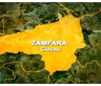 Zamfara: Armed ambush leaves community guards dead, others missing