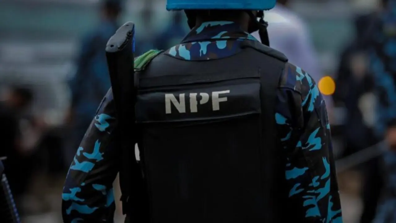 Nigeria Police investage 151 top officers for various offences