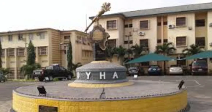 Oyo Assembly reinstates suspended LG chairman