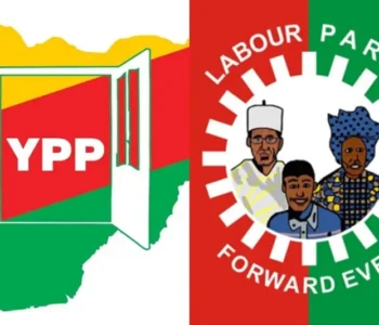 Lagos LG poll: LP, YPP, others demand results cancellation
