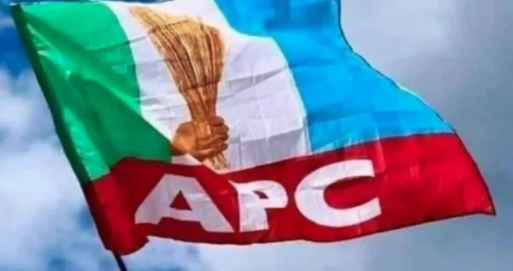 Kebbi: APC reinstates Sani-Giant months after bringing snake to govt house