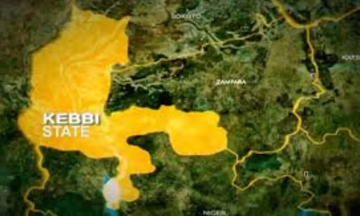 Kebbi: Customs bust smuggling operation, seize ₦20.5m rice cargo