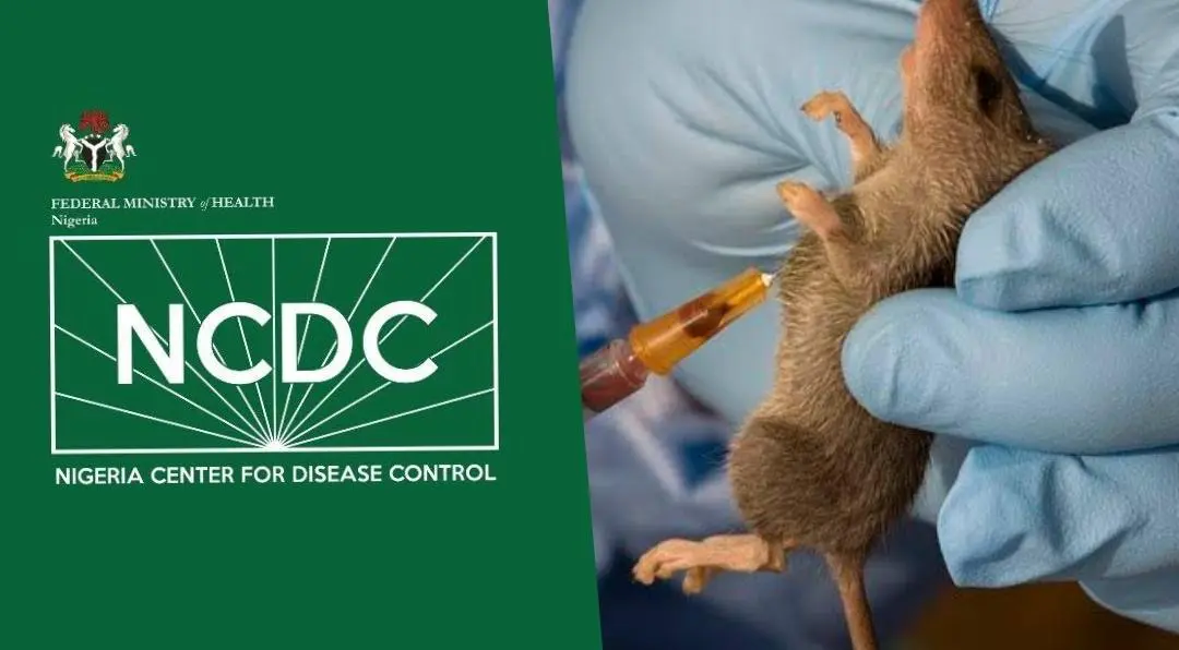 Nigeria records fewer Lassa fever cases but more deaths – NCDC