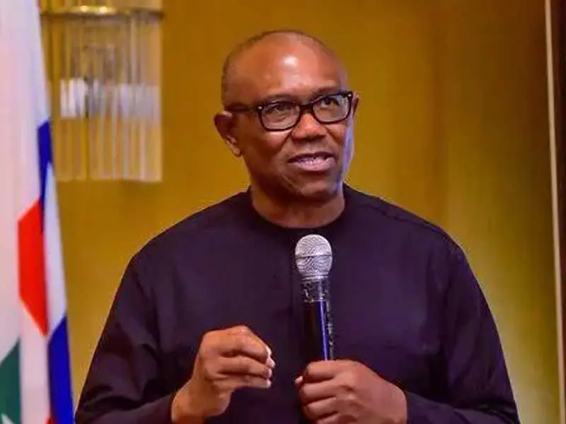 Fighting corruption not difficult – Peter Obi