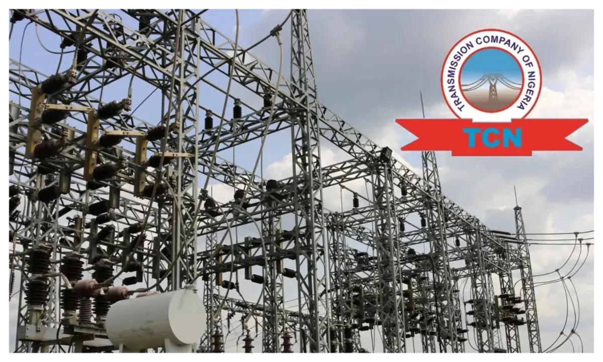 Fire at Egbin Power Plant worsens Lagos power outage — TCN