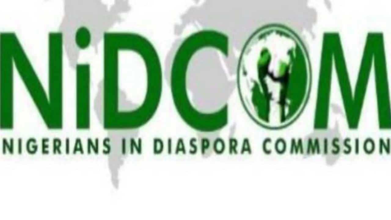 We were sexually abused by our Chinese employers – Nigerian men rescued from CAR