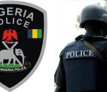 Niger: Police arrest 30 suspects, recover weapons during Maulud procession in Minna