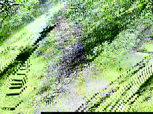 13% Derivation: FG begins plotting coordinates for new, disputed oil fields