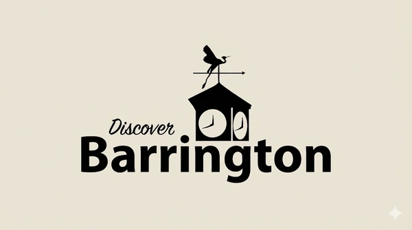 The thrift-store wedding dress hunt, with a Chicago-area twist