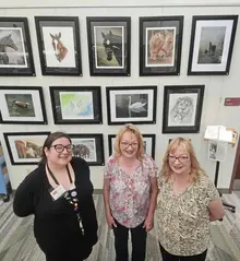 Monroeville sisters’ art on display at Murrysville library