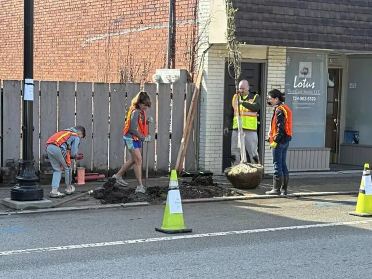 Volunteers replace 10 invasive trees with native ones along Freeport Road in Blawnox