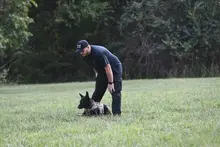 Delmont officer, police dog recovering after crash