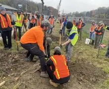 Leafier look ahead for Rodi Road as Penn Hills Shade Tree Commission wraps up goal for corridor