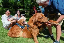 Pet memorial service: helping victims of alleged widespread fraud deal with loss