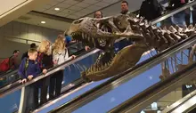 Pittsburgh airport T. rex absent from new terminal as officials weigh its future