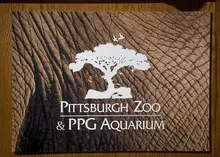Social media influencer charged after jumping into Pittsburgh zoo enclosure