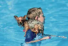 Here are 5 things to do in Pittsburgh this weekend: Aug. 30-Sept. 2