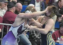 Franklin Regional boys stay atop WPIAL wrestling heap; girls team makes strides