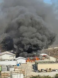 Fire damages greenhouses at 380 Auction in Murrysville