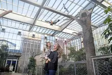 Here are 5 things to do in Pittsburgh this weekend: March 27-29