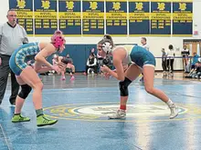 Norwin sports notebook: Knights girls wrestlers advance to state tournament