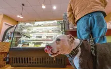Three Dog Bakery in Sewickley offers treats and more for furry friends