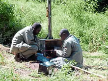 Murrysville company PixCams launches African wildlife livestream